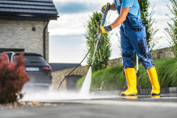 Best Driveway Pressure Washing  in Wildwood, FL
